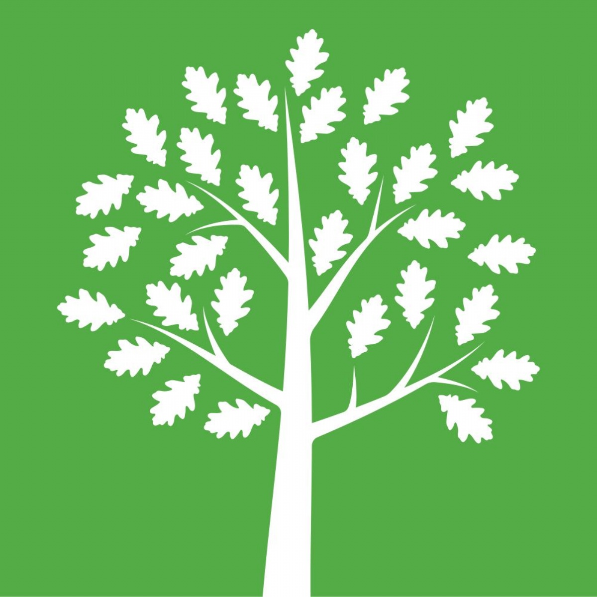 Malden Oaks School Tuition Service GCSE RESULTS 2024 malden-oaks-school-tuition-service-gcse-results-2024
